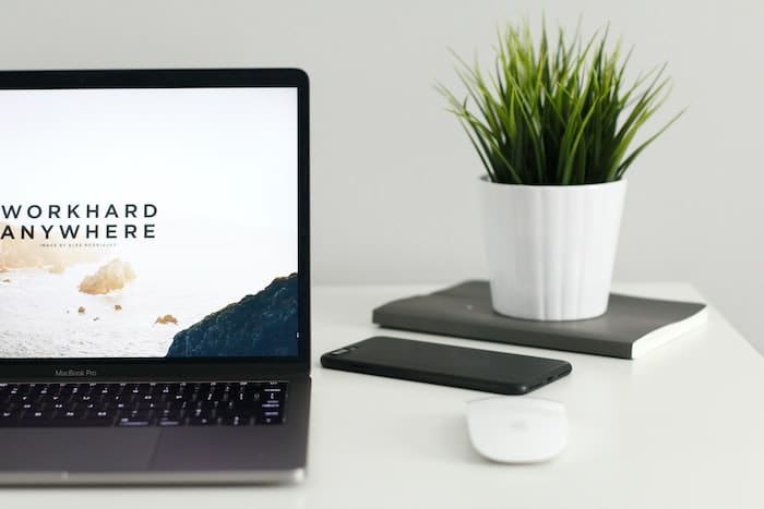 Laptop, plant, book mouse, and phone on desk