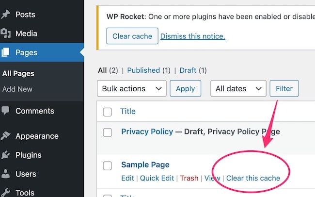 Clear cache in WordPress